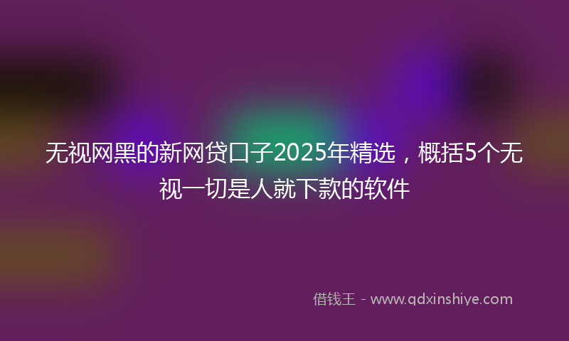 无视网黑的新网贷口子2025年精选，概括5个无视一切是人就下款的软件