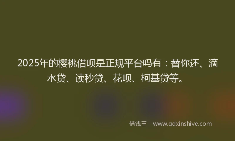 2025年的樱桃借呗是正规平台吗有：替你还、滴水贷、读秒贷、花呗、柯基贷等。