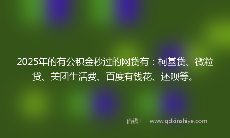 2025年的有公积金秒过的网贷有：柯基贷、微粒贷、美团生活费、百度有钱花、还呗等。