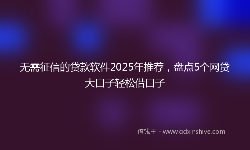 无需征信的贷款软件2025年推荐，盘点5个网贷大口子轻松借口子
