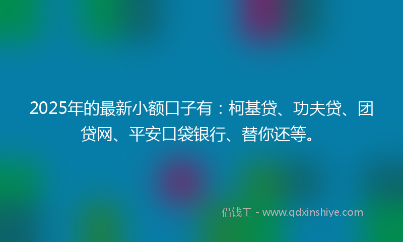 2025年的最新小额口子有：柯基贷、功夫贷、团贷网、平安口袋银行、替你还等。