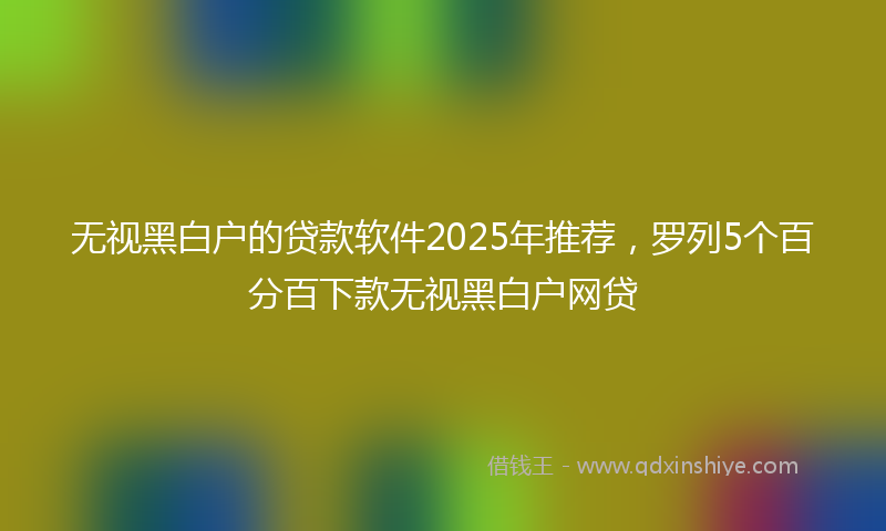 无视黑白户的贷款软件2025年推荐，罗列5个百分百下款无视黑白户网贷