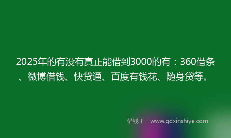 2025年的有没有真正能借到3000的有：360借条、微博借钱、快贷通、百度有钱花、随身贷等。