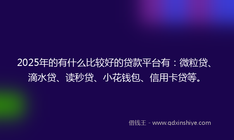 2025年的有什么比较好的贷款平台有：微粒贷、滴水贷、读秒贷、小花钱包、信用卡贷等。