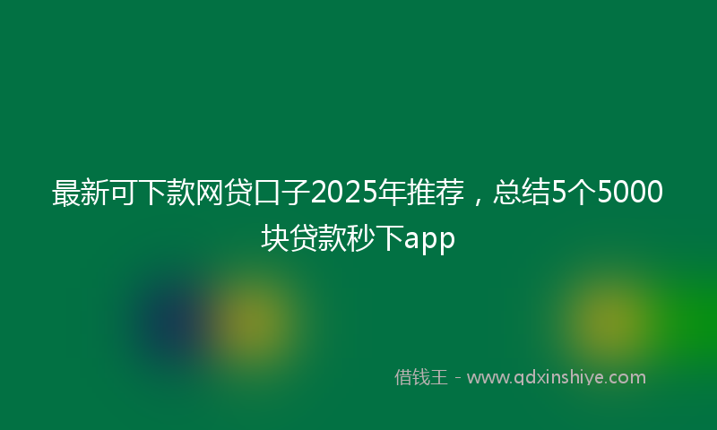 最新可下款网贷口子2025年推荐，总结5个5000块贷款秒下app