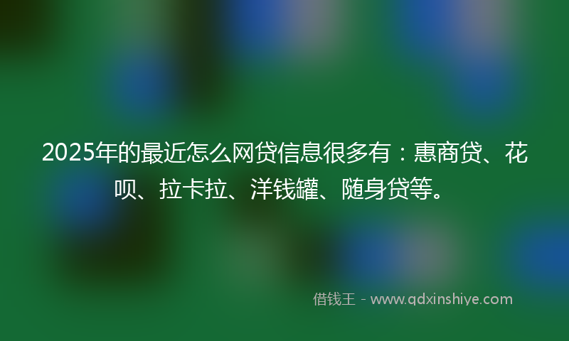2025年的最近怎么网贷信息很多有：惠商贷、花呗、拉卡拉、洋钱罐、随身贷等。