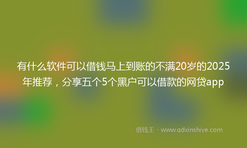 有什么软件可以借钱马上到账的不满20岁的2025年推荐，分享五个5个黑户可以借款的网贷app