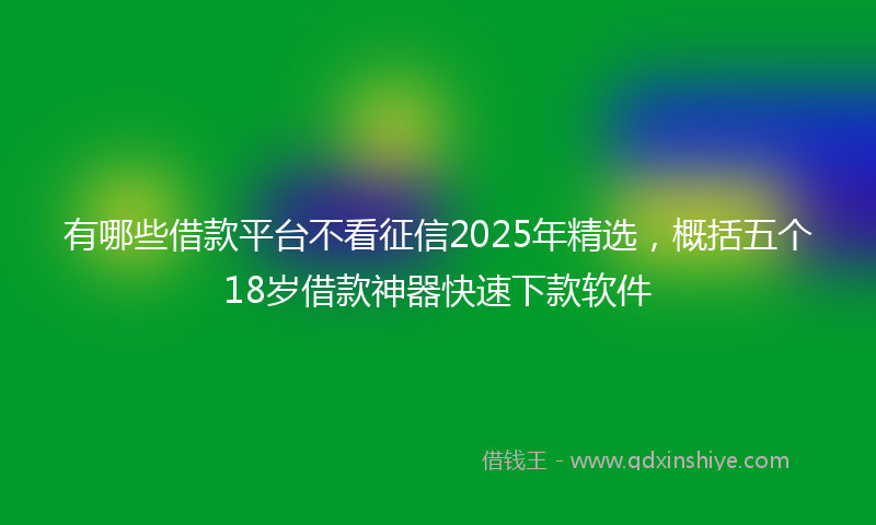 有哪些借款平台不看征信2025年精选，概括五个18岁借款神器快速下款软件