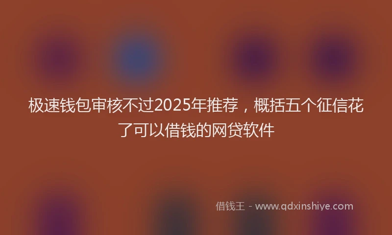 极速钱包审核不过2025年推荐，概括五个征信花了可以借钱的网贷软件
