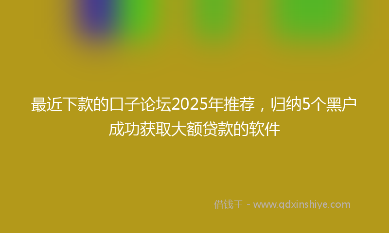 最近下款的口子论坛2025年推荐，归纳5个黑户成功获取大额贷款的软件