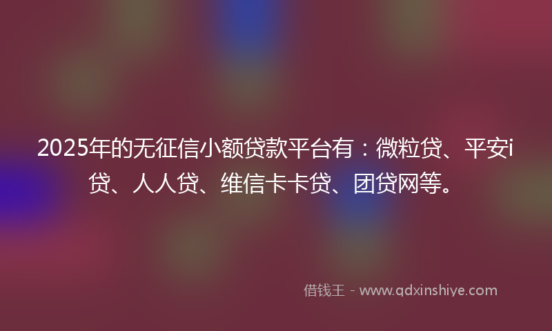 2025年的无征信小额贷款平台有：微粒贷、平安i贷、人人贷、维信卡卡贷、团贷网等。