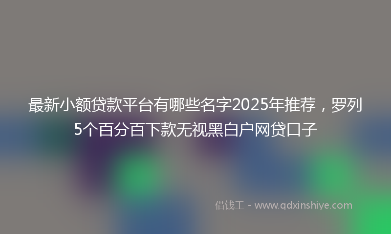 最新小额贷款平台有哪些名字2025年推荐，罗列5个百分百下款无视黑白户网贷口子