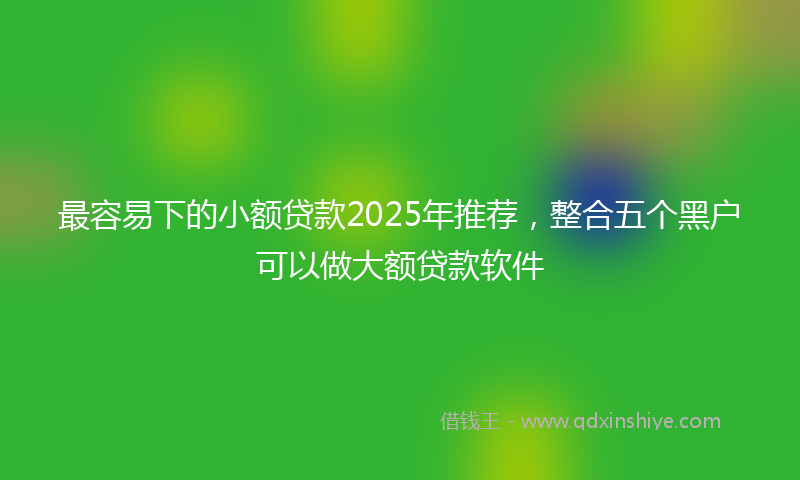 最容易下的小额贷款2025年推荐，整合五个黑户可以做大额贷款软件