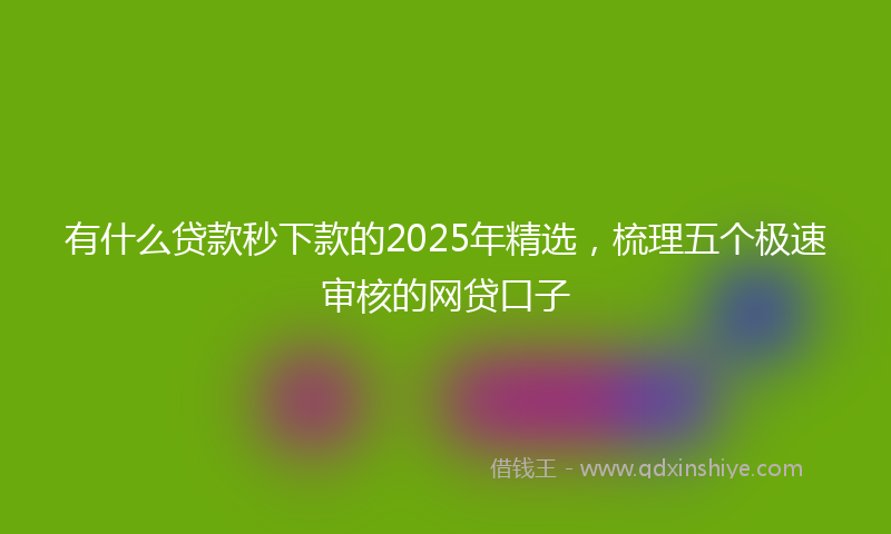 有什么贷款秒下款的2025年精选，梳理五个极速审核的网贷口子