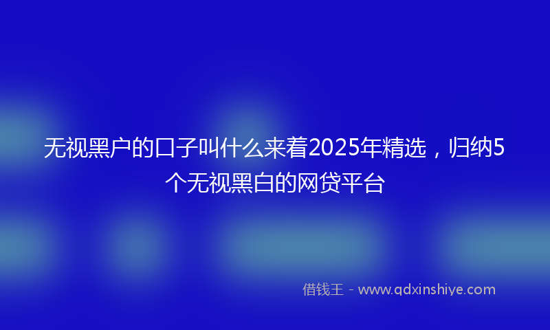 无视黑户的口子叫什么来着2025年精选，归纳5个无视黑白的网贷平台