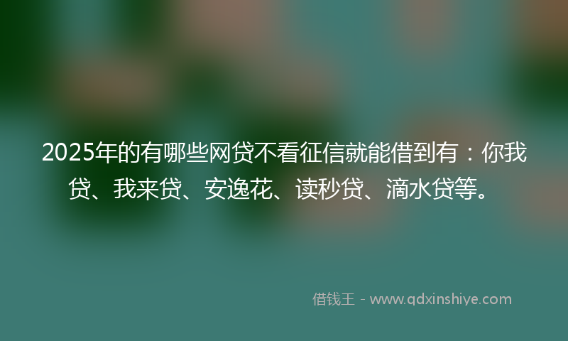 2025年的有哪些网贷不看征信就能借到有：你我贷、我来贷、安逸花、读秒贷、滴水贷等。