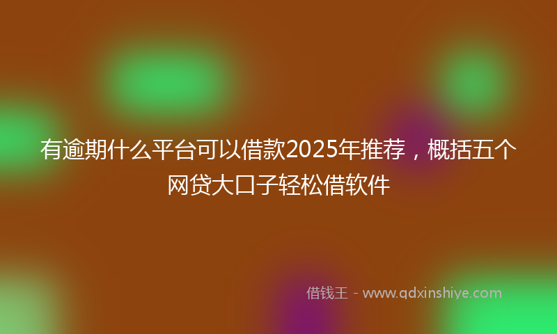 有逾期什么平台可以借款2025年推荐，概括五个网贷大口子轻松借软件