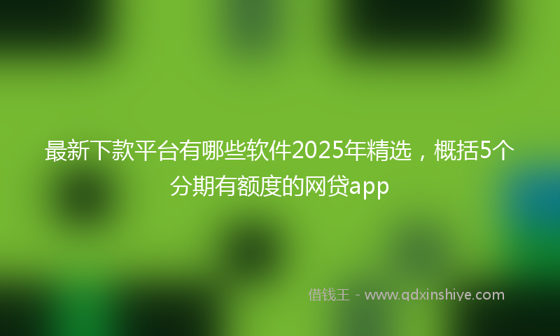 最新下款平台有哪些软件2025年精选，概括5个分期有额度的网贷app
