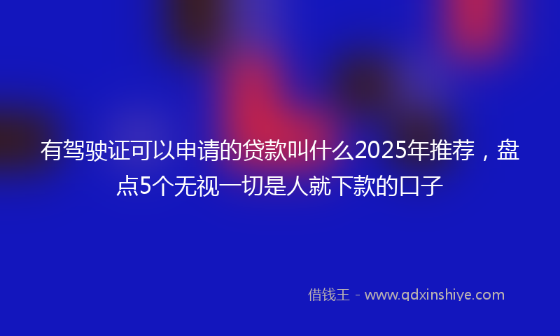 有驾驶证可以申请的贷款叫什么2025年推荐，盘点5个无视一切是人就下款的口子