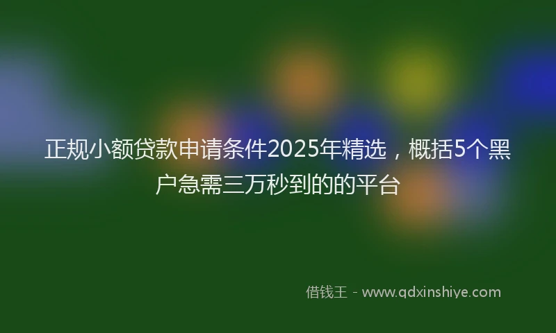 正规小额贷款申请条件2025年精选，概括5个黑户急需三万秒到的的平台