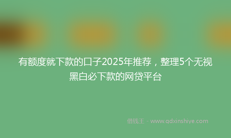 有额度就下款的口子2025年推荐，整理5个无视黑白必下款的网贷平台
