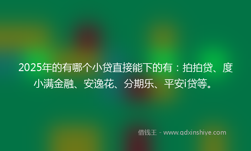 2025年的有哪个小贷直接能下的有：拍拍贷、度小满金融、安逸花、分期乐、平安i贷等。
