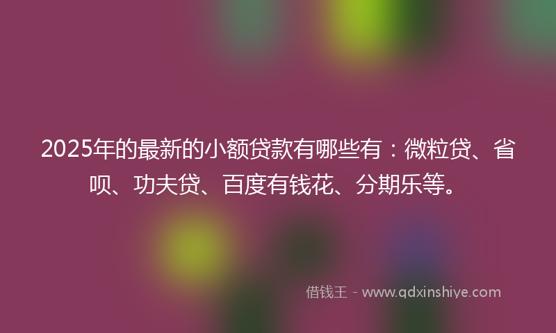 2025年的最新的小额贷款有哪些有：微粒贷、省呗、功夫贷、百度有钱花、分期乐等。