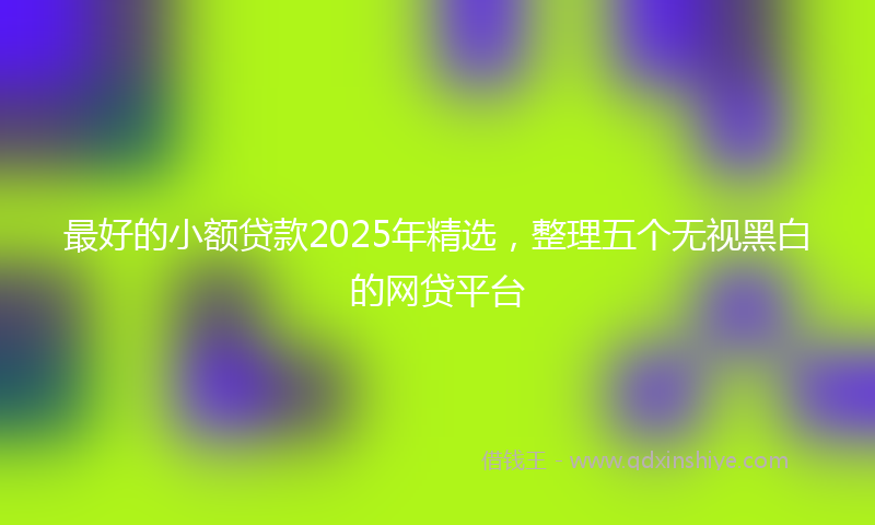 最好的小额贷款2025年精选，整理五个无视黑白的网贷平台