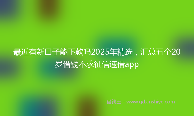 最近有新口子能下款吗2025年精选，汇总五个20岁借钱不求征信速借app