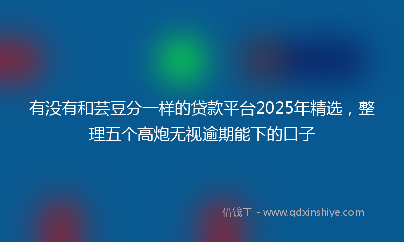 有没有和芸豆分一样的贷款平台2025年精选，整理五个高炮无视逾期能下的口子