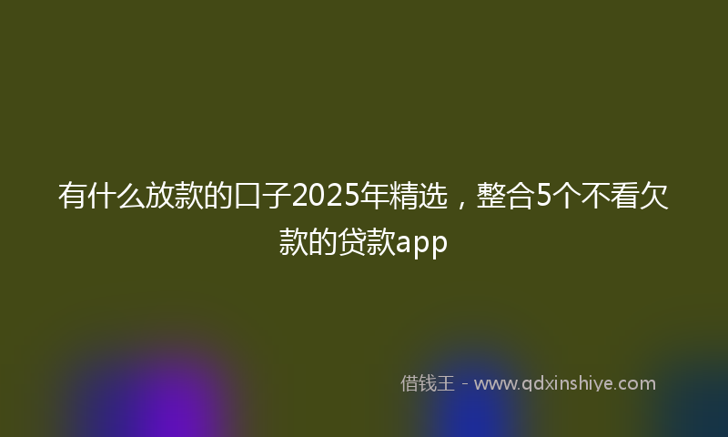 有什么放款的口子2025年精选，整合5个不看欠款的贷款app