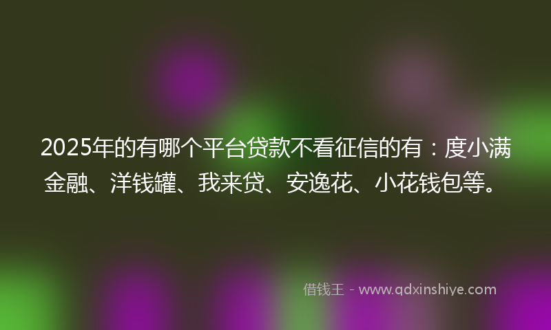 2025年的有哪个平台贷款不看征信的有：度小满金融、洋钱罐、我来贷、安逸花、小花钱包等。