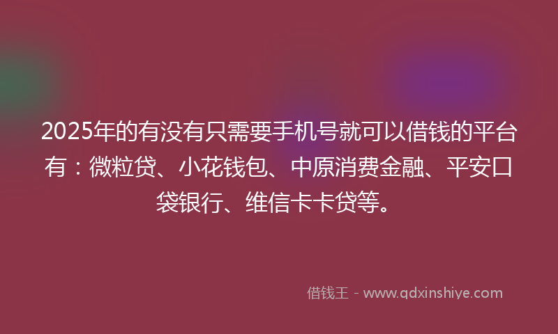 2025年的有没有只需要手机号就可以借钱的平台有：微粒贷、小花钱包、中原消费金融、平安口袋银行、维信卡卡贷等。