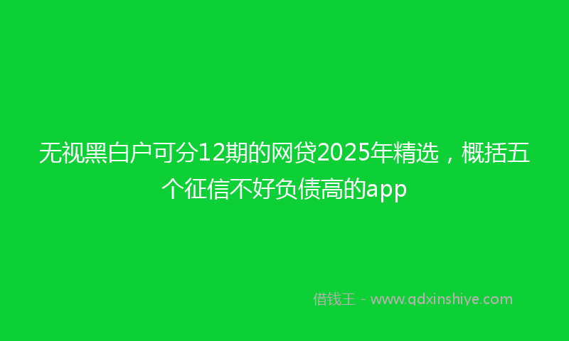 无视黑白户可分12期的网贷2025年精选，概括五个征信不好负债高的app