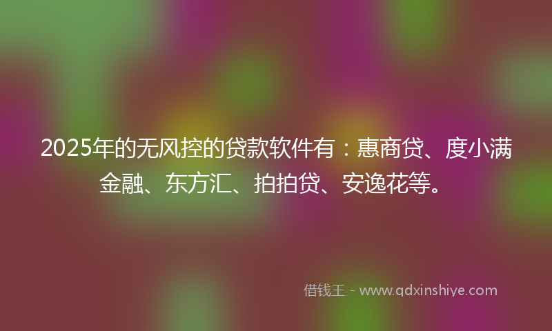 2025年的无风控的贷款软件有：惠商贷、度小满金融、东方汇、拍拍贷、安逸花等。