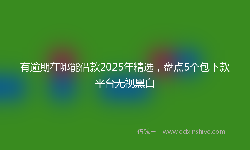 有逾期在哪能借款2025年精选，盘点5个包下款平台无视黑白