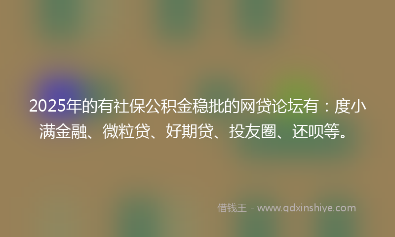 2025年的有社保公积金稳批的网贷论坛有：度小满金融、微粒贷、好期贷、投友圈、还呗等。