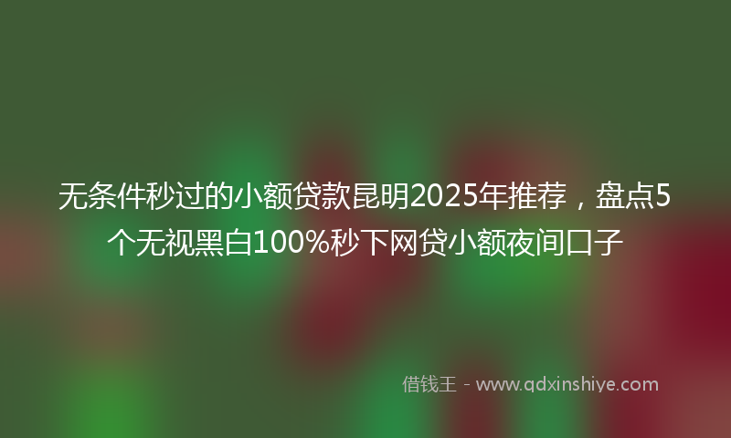 无条件秒过的小额贷款昆明2025年推荐，盘点5个无视黑白100%秒下网贷小额夜间口子