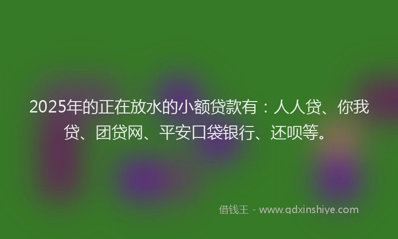 2025年的正在放水的小额贷款有：人人贷、你我贷、团贷网、平安口袋银行、还呗等。