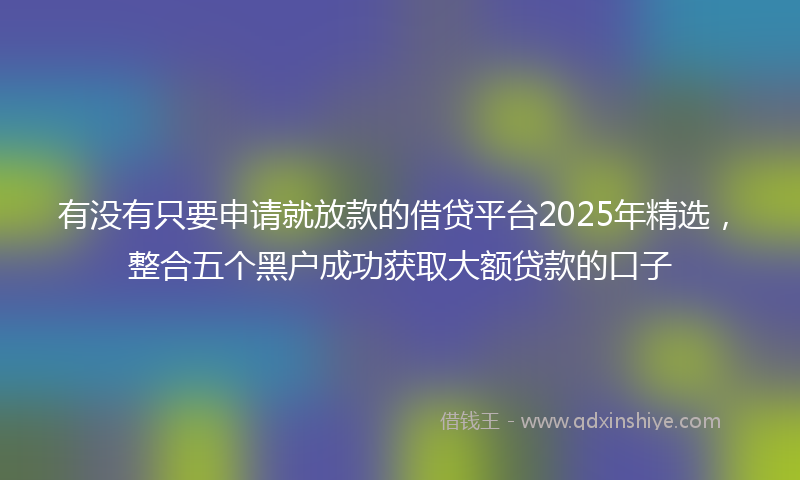 有没有只要申请就放款的借贷平台2025年精选，整合五个黑户成功获取大额贷款的口子