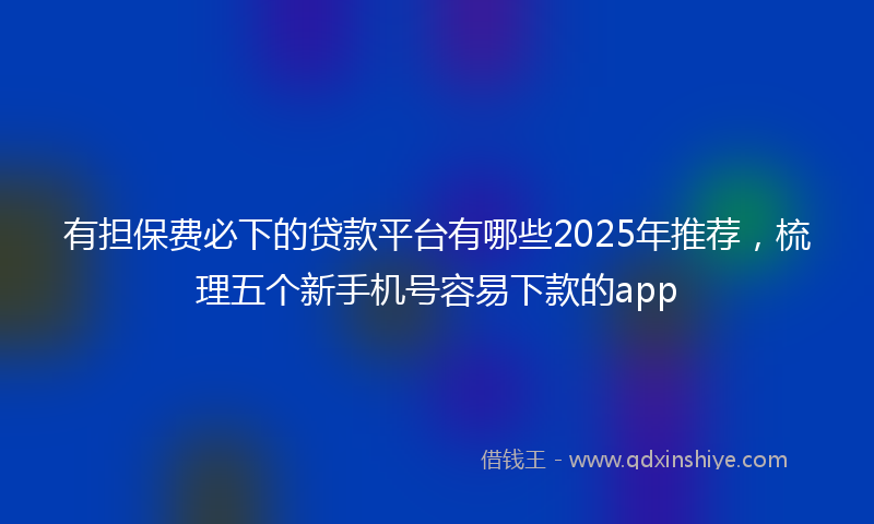 有担保费必下的贷款平台有哪些2025年推荐，梳理五个新手机号容易下款的app