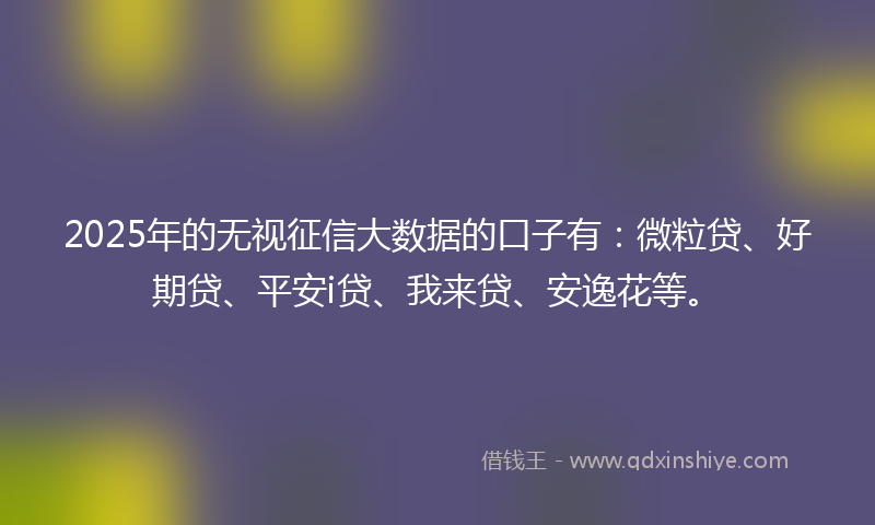 2025年的无视征信大数据的口子有：微粒贷、好期贷、平安i贷、我来贷、安逸花等。