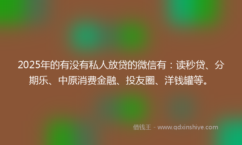2025年的有没有私人放贷的微信有：读秒贷、分期乐、中原消费金融、投友圈、洋钱罐等。