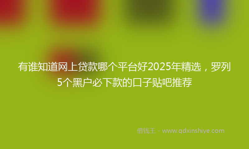 有谁知道网上贷款哪个平台好2025年精选，罗列5个黑户必下款的口子贴吧推荐