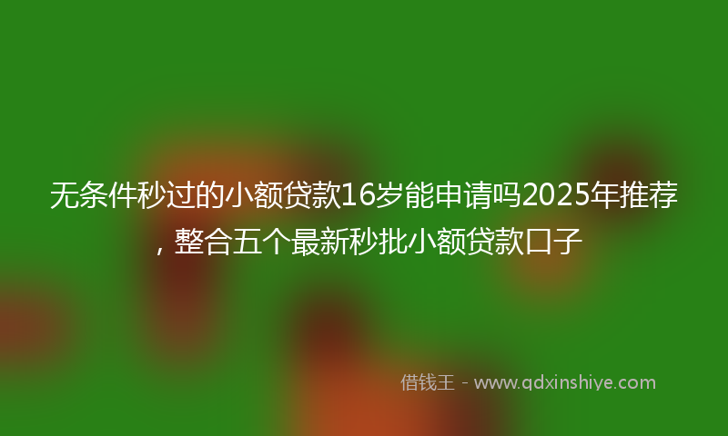 无条件秒过的小额贷款16岁能申请吗2025年推荐，整合五个最新秒批小额贷款口子