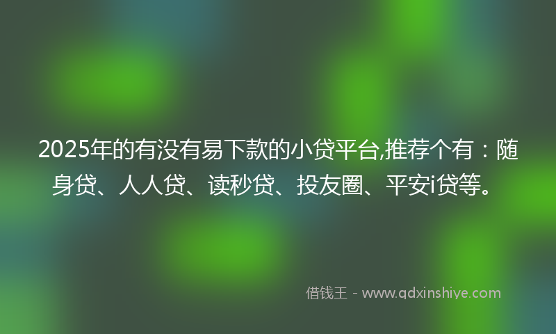 2025年的有没有易下款的小贷平台,推荐个有：随身贷、人人贷、读秒贷、投友圈、平安i贷等。