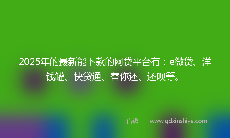 2025年的最新能下款的网贷平台有：e微贷、洋钱罐、快贷通、替你还、还呗等。