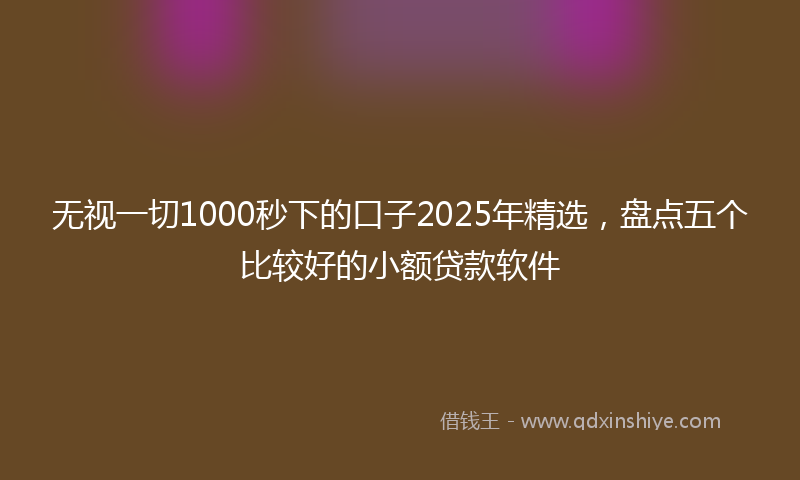 无视一切1000秒下的口子2025年精选，盘点五个比较好的小额贷款软件