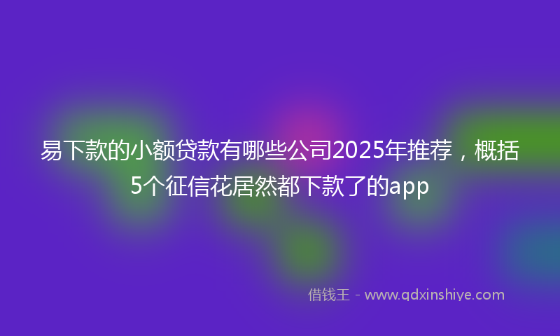 易下款的小额贷款有哪些公司2025年推荐，概括5个征信花居然都下款了的app
