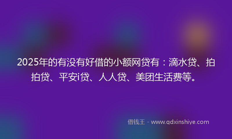 2025年的有没有好借的小额网贷有：滴水贷、拍拍贷、平安i贷、人人贷、美团生活费等。